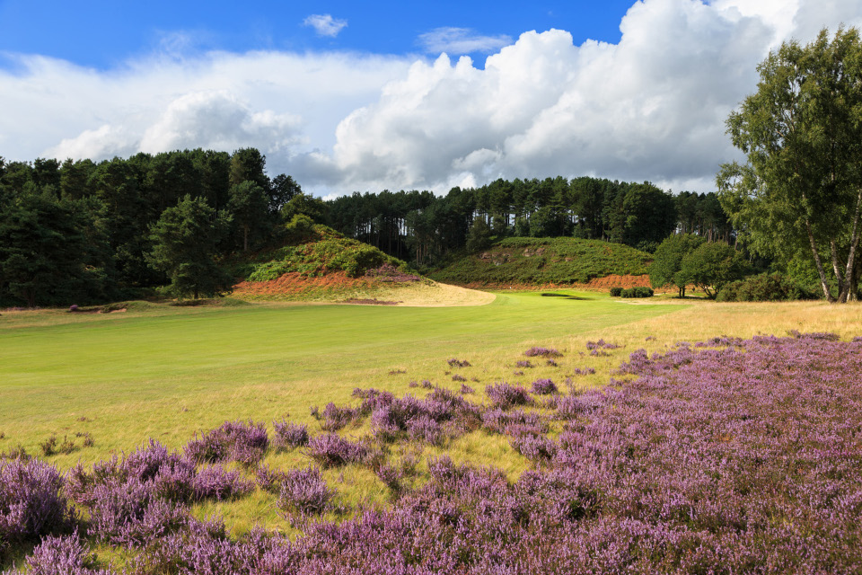 image of hollinwell golf course 01