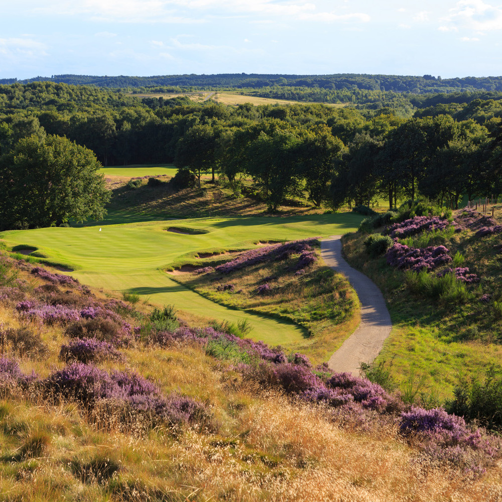 image of hollinwell golf course 02