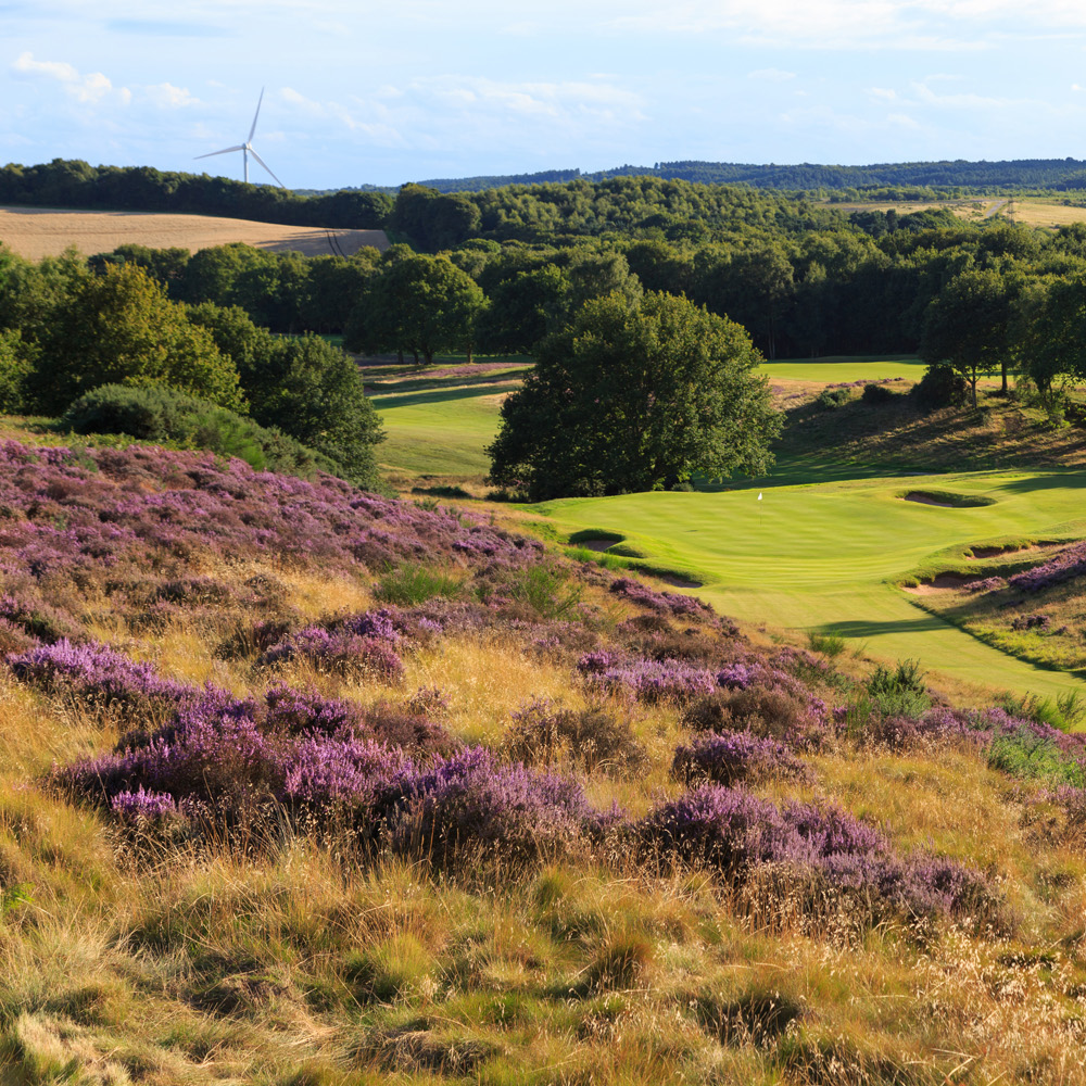 image of hollinwell golf course 03